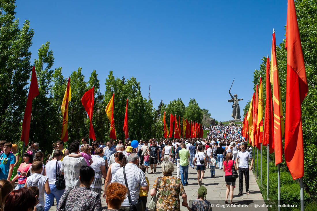 Аллея пирамидальных тополей на Мамаевом кургане в День Победы фотография