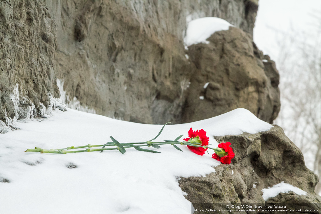 Яркие гвоздики горят на белом снегу у всех памятников на главной высоте России фотография