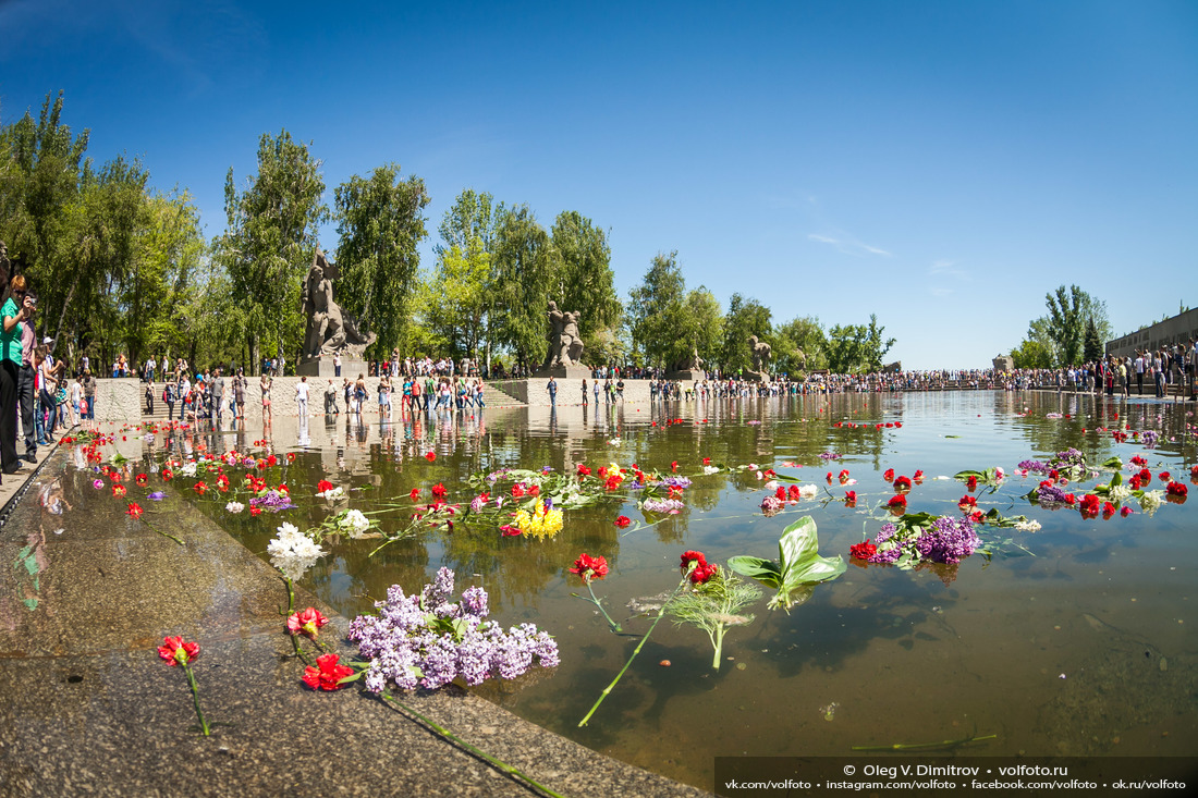 Георгиевская лента у подножья «Родины-матери», цветы у подножья монумента и в водах бассейна на Площади Героев фотография
