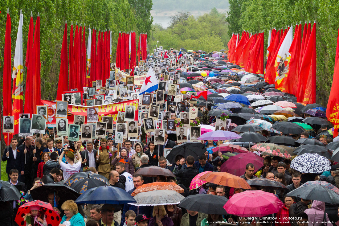 Участники акции под непрекращающимся дождём прошли от подножья Мамаева кургана к Залу Воинской Славы фотография