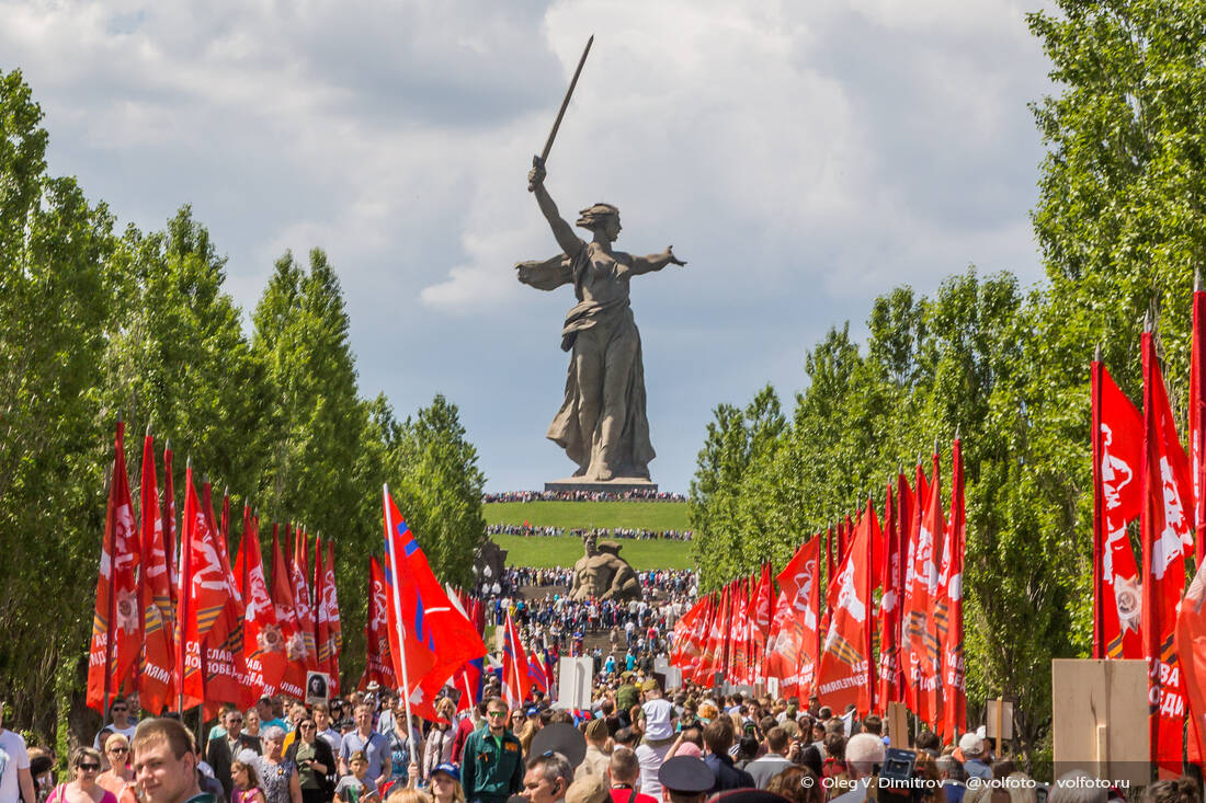 Колонна «Бессмертного полка» на алее тополей Мамаева кургана фотография