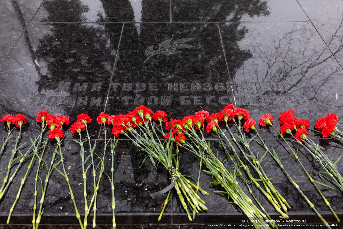 Цветы у могилы Неизвестного солдата на Мамаевом кургане фотография