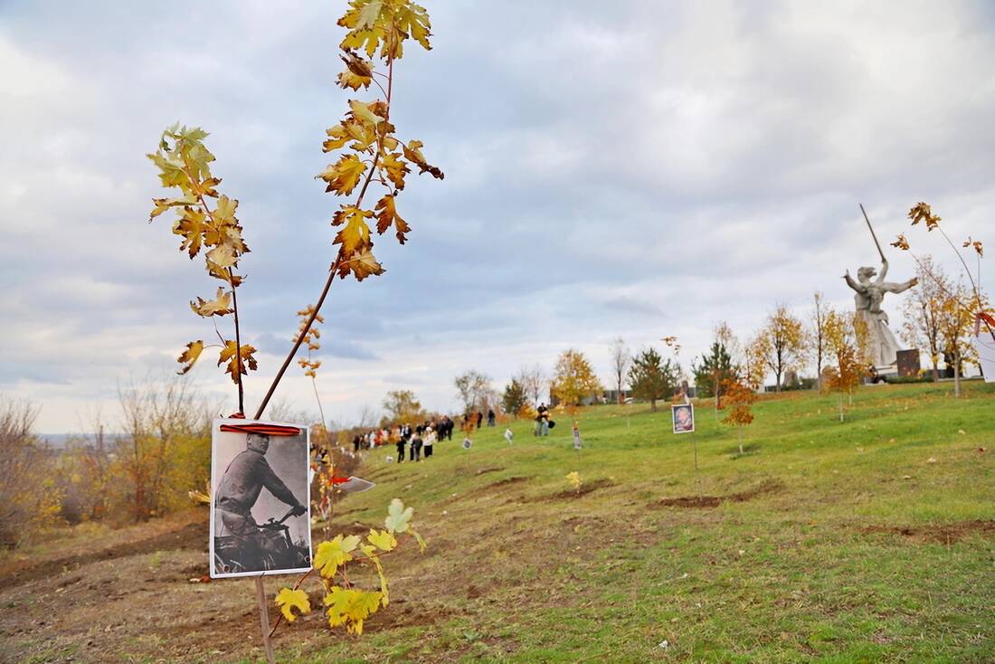 «Русский лес» на склоне Мамаева кургана фотография