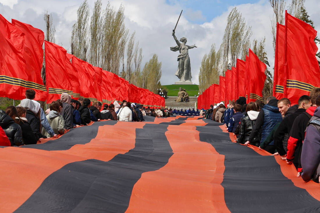 Георгиевская лента на аллее пирамидальных тополей фотография
